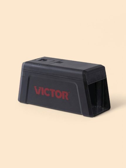 Piège Rat VICTOR®