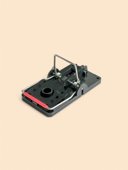 Tapette pour Multicatch Rat Trap